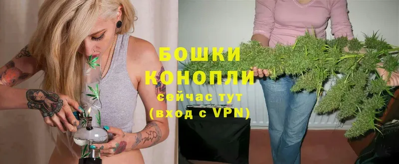 Конопля OG Kush  Межгорье 